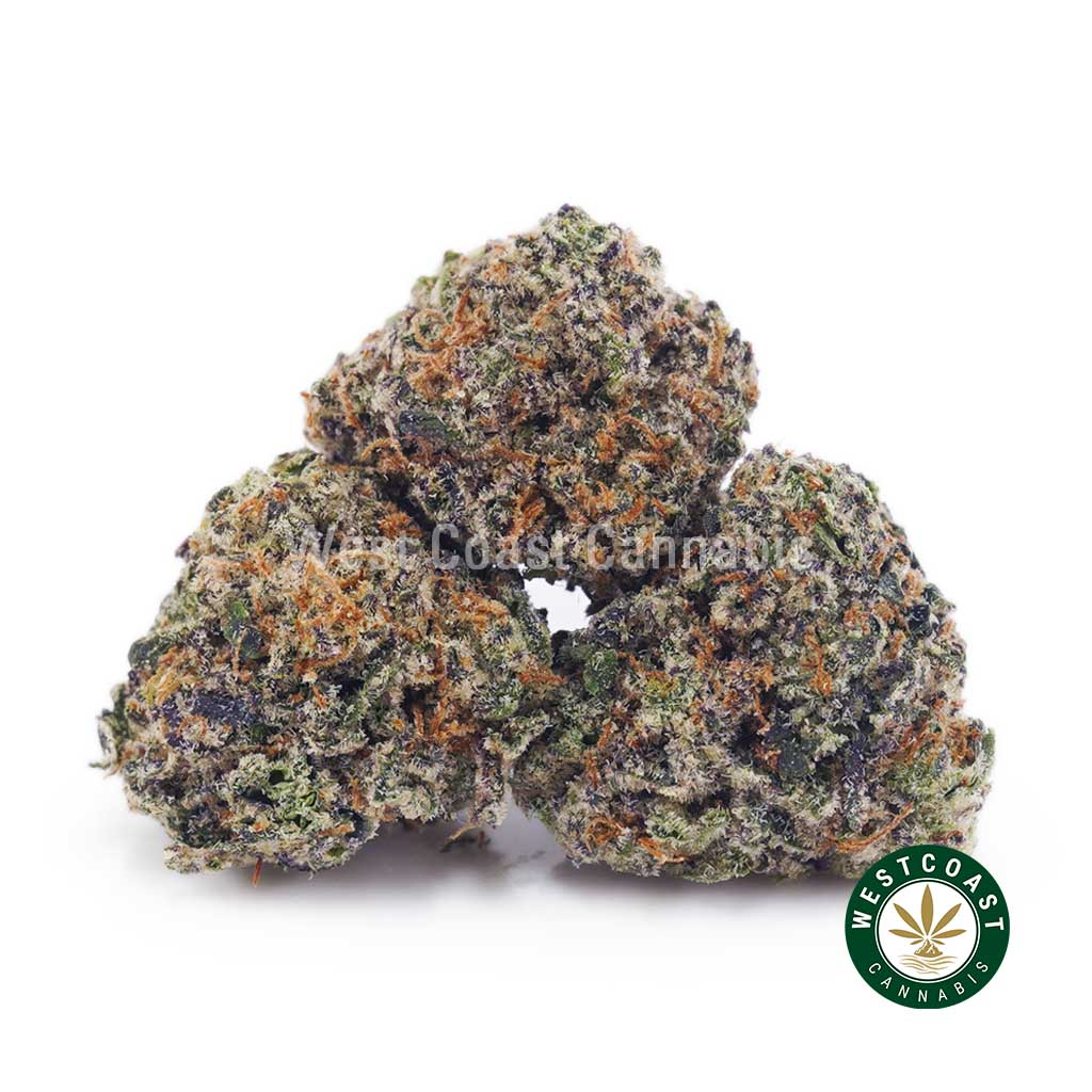 Purple Rose AAAA (Popcorn Nugs)