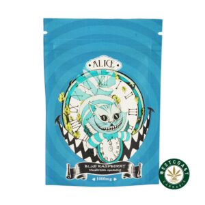 Alice Mushroom Gummy – Blue Raspberry 1000mg product image