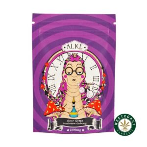 Alice Mushroom Gummy – Sour Grape 2500mg product image