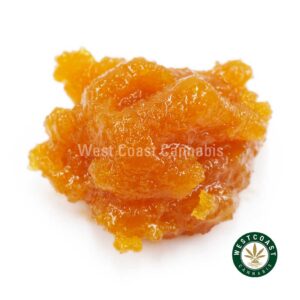R556A1 VIOLATOR LIVERESIN WCCANNABIS