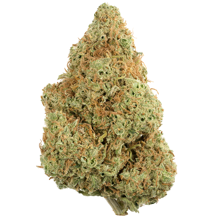 Red-Congolese-Single-1