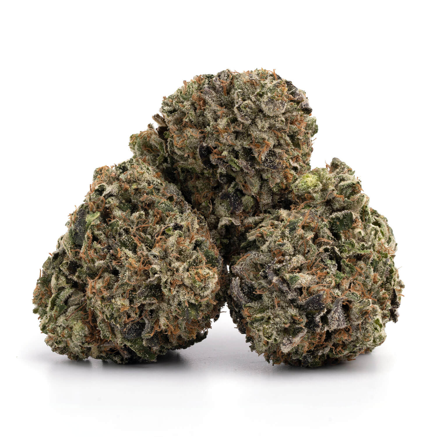 Rock-Tuna-7