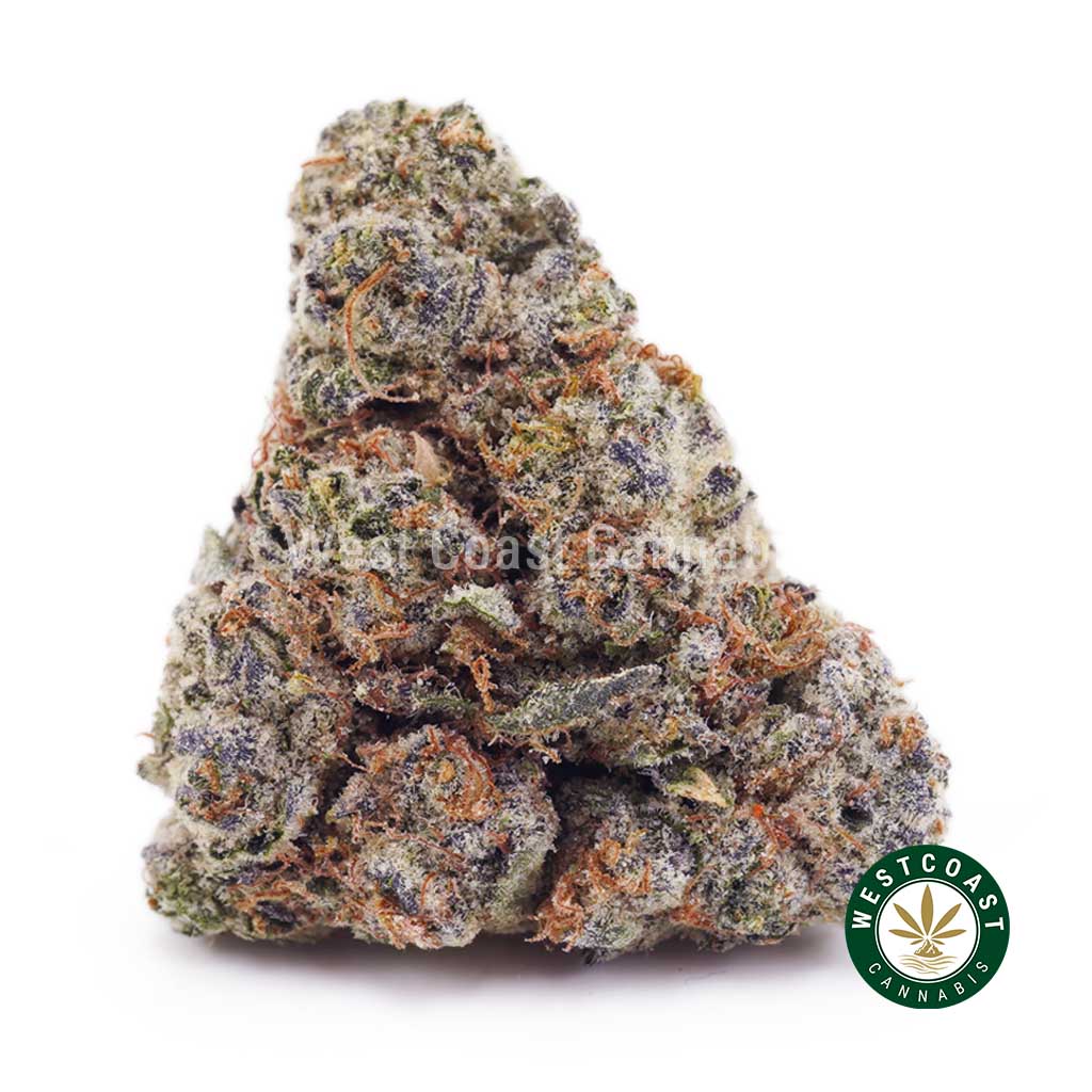 Buy Rock Tuna AA wc cannabis weed dispensary & online pot shop Rock Tuna AA product image