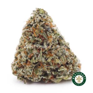 Silver Haze AA product image