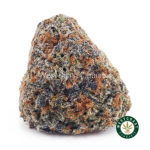 Skunk #1 AAAA product image