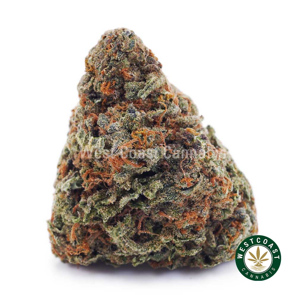 Buy Snowman OG AAAA wc cannabis weed dispensary & online pot shop Snowman OG AAAA product image