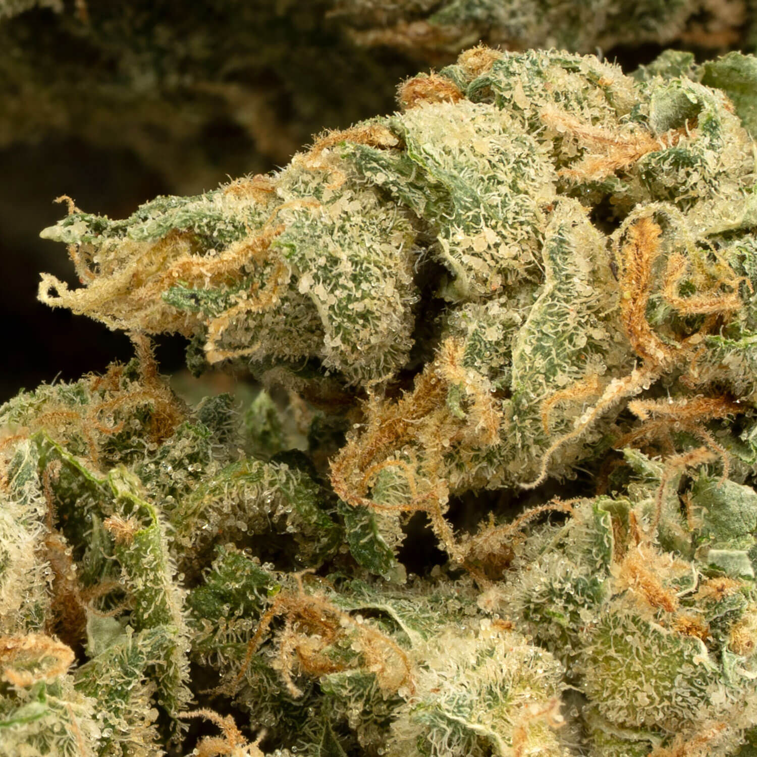 Sour-Secret-Strawberry-10
