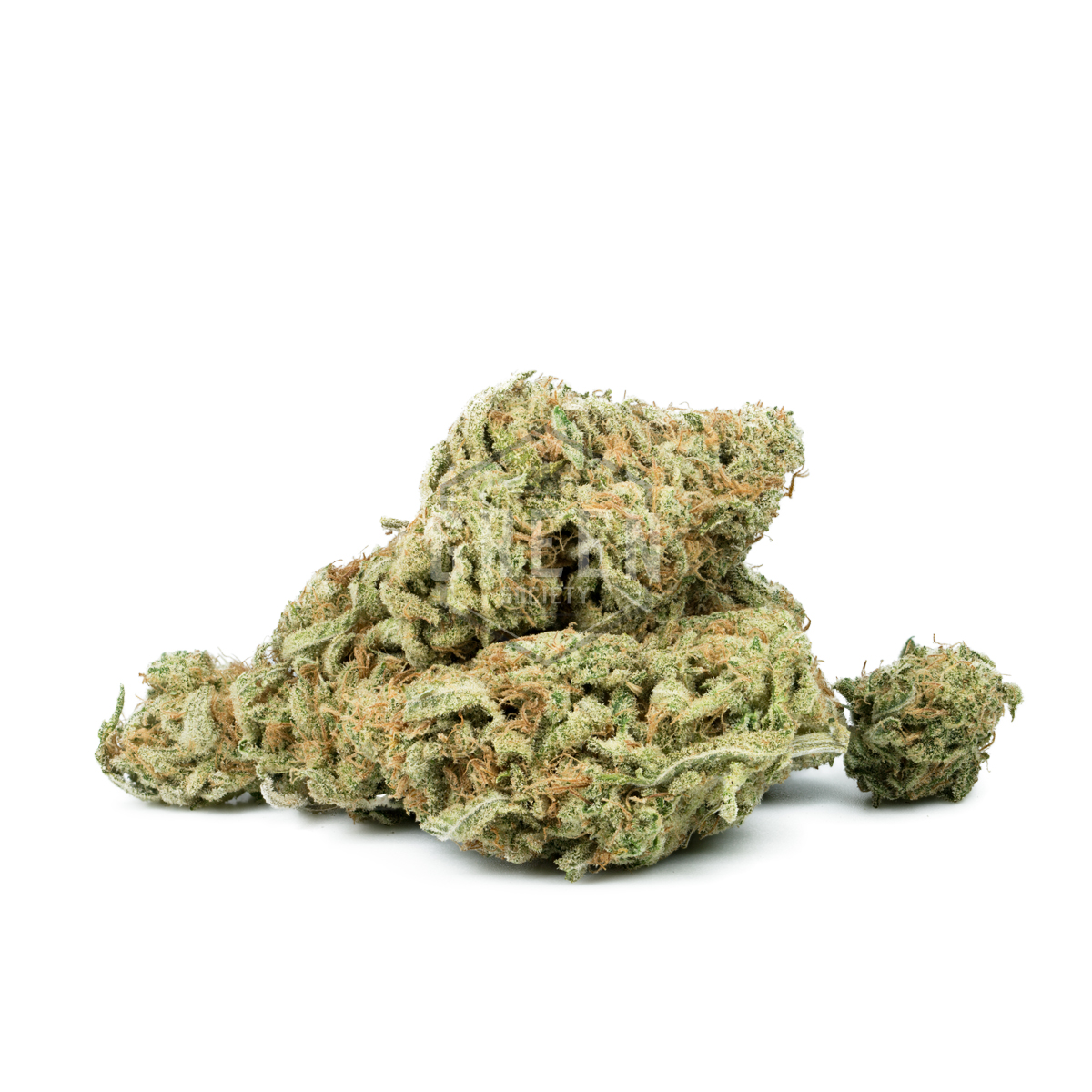 Space-Queen-by-Vic-High-Growers-Buds