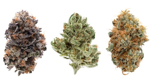 Strongest cannabis strains