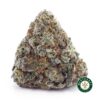 Buy Super Silver Haze AAAA wc cannabis weed dispensary & online pot shop