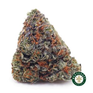 Buy Triangle Mintz AAA wc cannabis weed dispensary & online pot shop