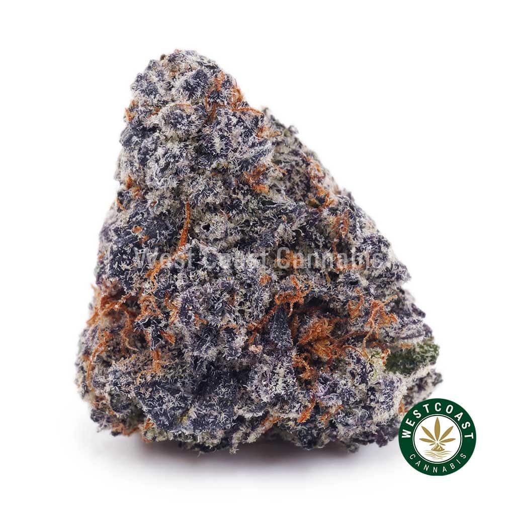 Buy Truffle Cake AAAA wc cannabis weed dispensary & online pot shop Truffle Cake AAAA product image