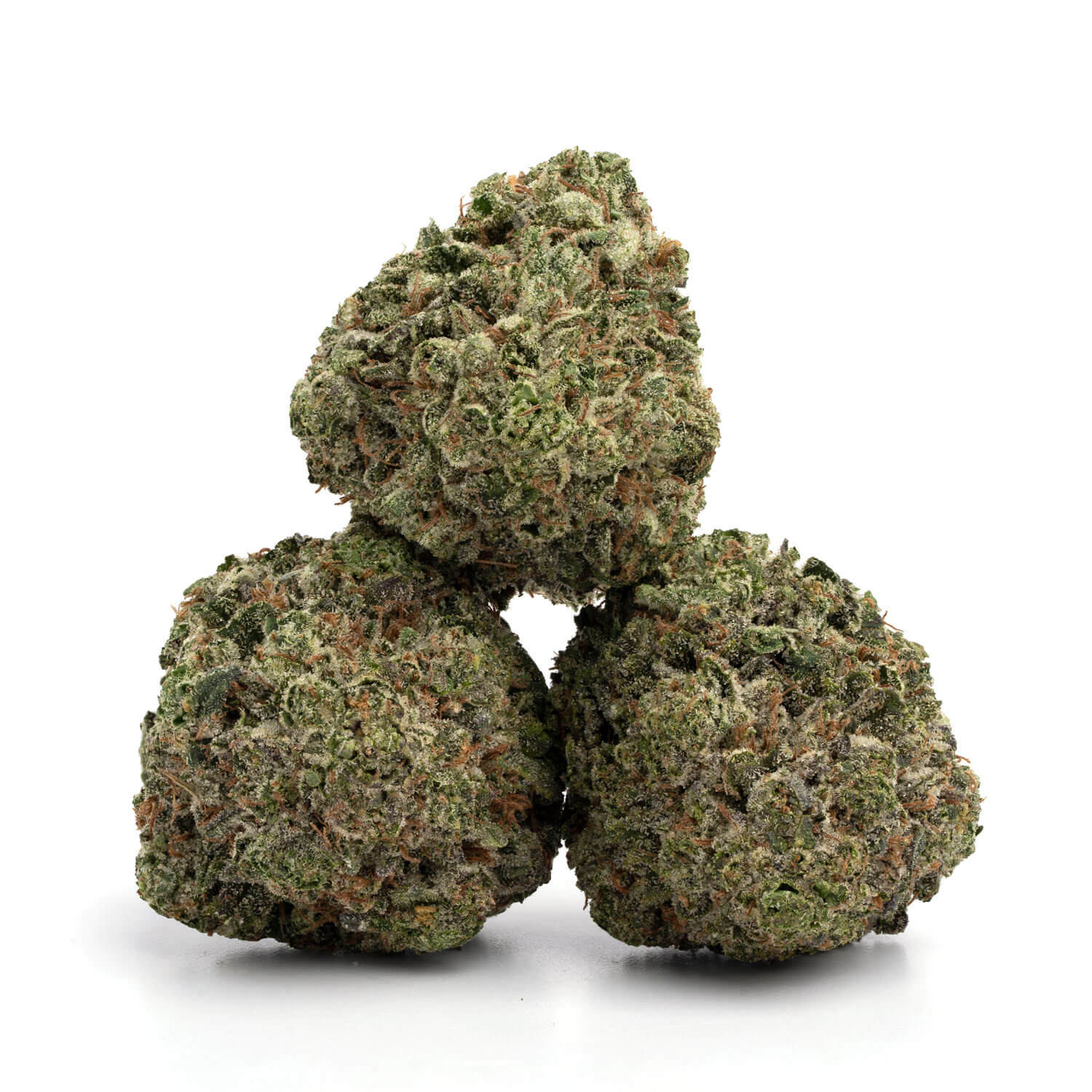 Tuna-Rockstar-7