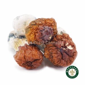 Shrooms – Texas Yellow Caps product image