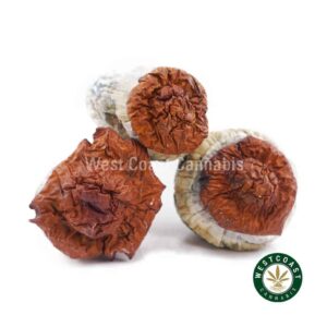 Shrooms – Wollongong product image