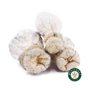 Shrooms – Leucistic SV 13 product image