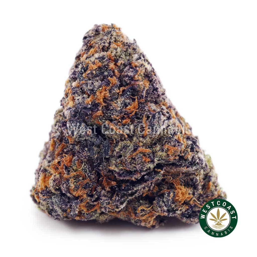 Buy Watermelon Punch AAAA wc cannabis weed dispensary & online pot shop Watermelon Punch AAAA product image