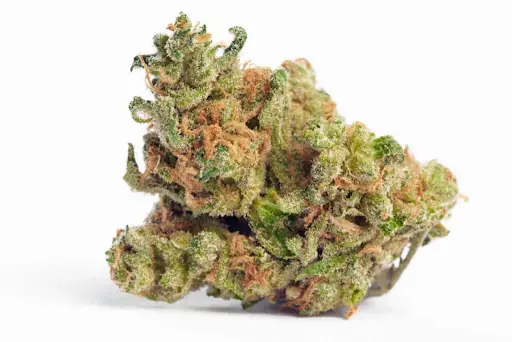 What Is the Most Expensive Strain of Weed? Top Premium Cannabis Picks