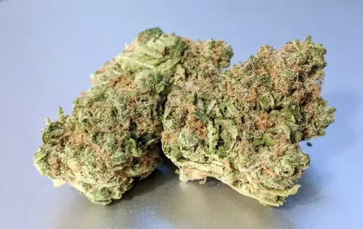 What Strain is Platinum Cookies: Detailed Origins and Effects Analysis