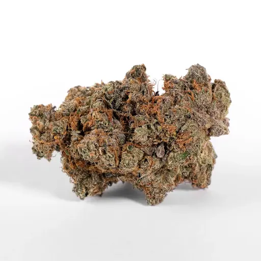 What is High Octane Strain