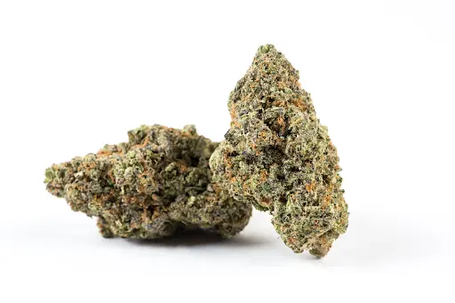 Where to Buy High Octane Strain