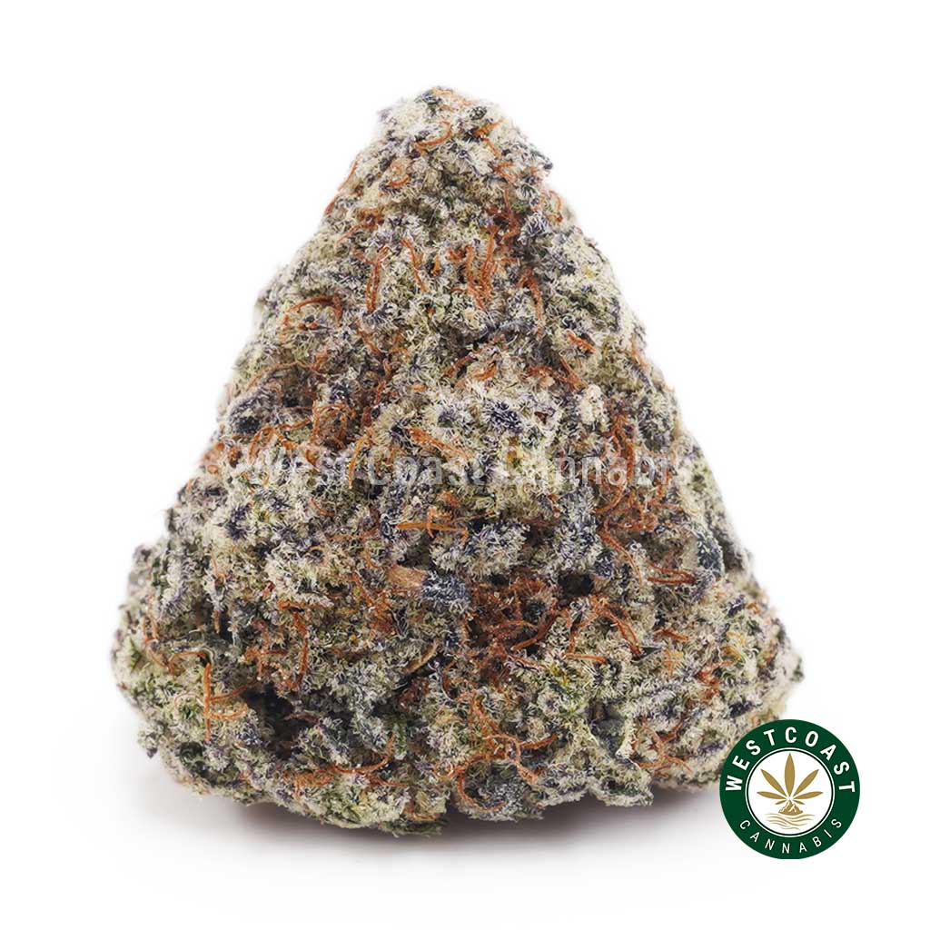 Buy White Biscotti AAAA wc cannabis weed dispensary & online pot shop Buy White Biscotti AAAA wc cannabis weed dispensary & online pot shop