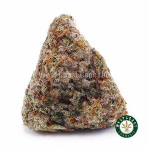 Buy White Russian Cream AAAA wc cannabis weed dispensary & online pot shop