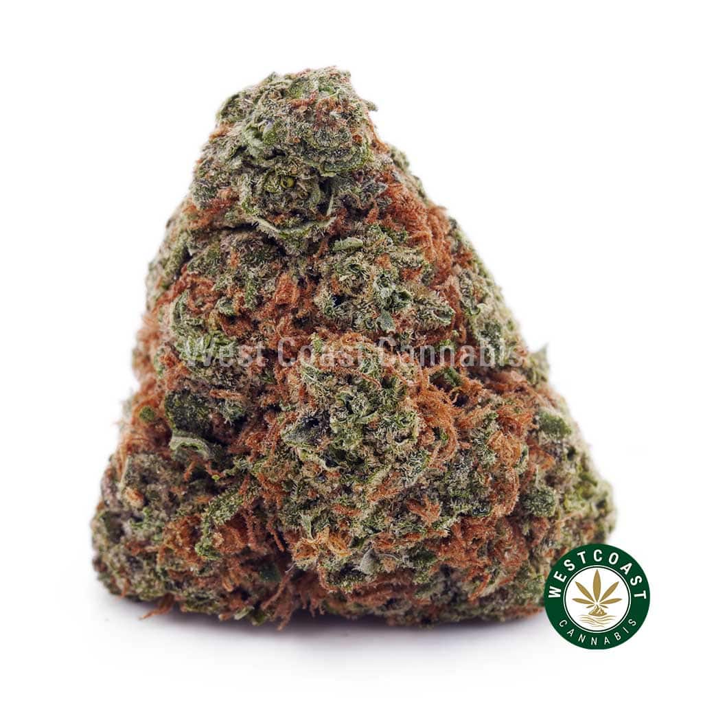 Buy MAC Donuts AA wc cannabis weed dispensary & online pot shop MAC Donuts AA product image
