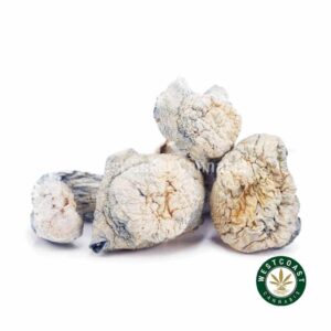 Shrooms – Albino Makilla product image