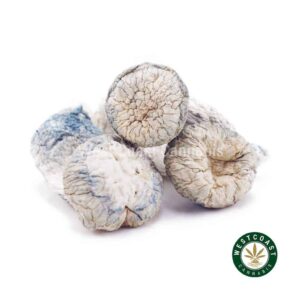 Shrooms – Albino Penis Envy product image