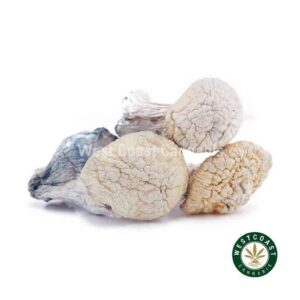 Shrooms – Snow White product image