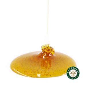 Buy Honey Oil - Gusher (Indica) at Wccannabis Online Shop