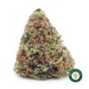 Buy Gummy Bearz AAA wc cannabis weed dispensary & online pot shop