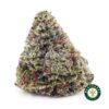 Buy Rainbow Runtz AAA wc cannabis weed dispensary & online pot shop