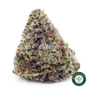 Buy Rainbow Runtz AAA wc cannabis weed dispensary & online pot shop