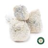 Shrooms – Albino Jedi Mindfuck product image