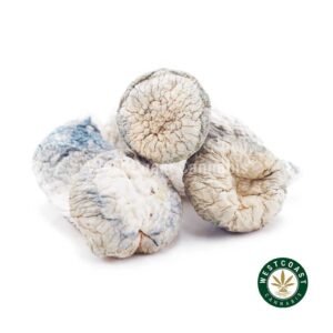 Shrooms – Albino Penis Envy product image
