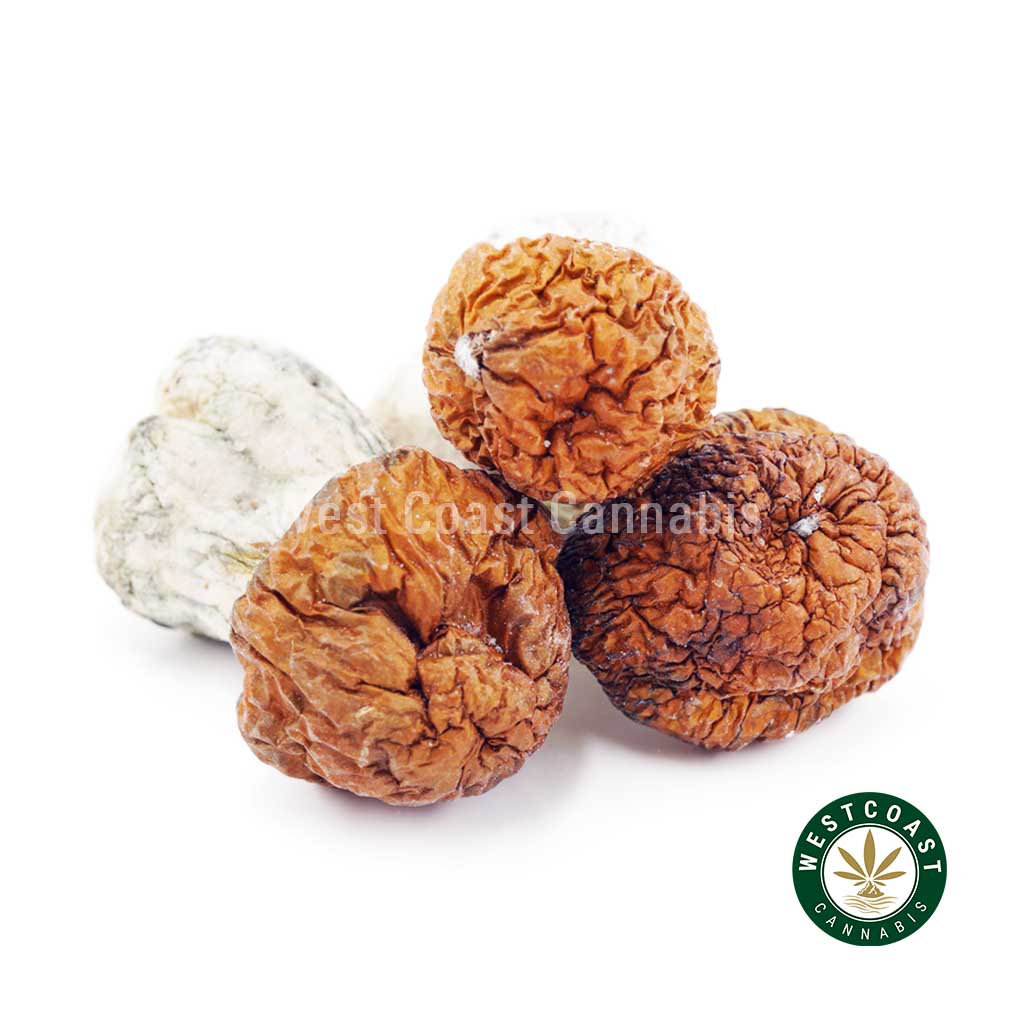 Y414A1 AVALANCHE SHROOMS WCCANNABIS Shrooms – Avalanche product image