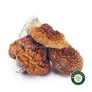 Shrooms – Daddy Long Legs product image