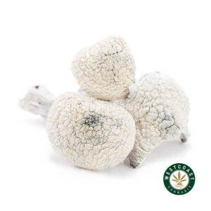 Shrooms – Albino Extra Terrestrial product image