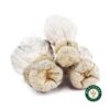 Shrooms – Leucistic SV 13 product image
