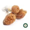 Shrooms – Tidal Wave product image