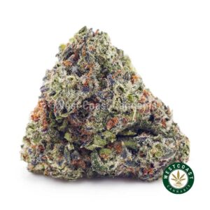 Granddaddy Purple AAAA product image