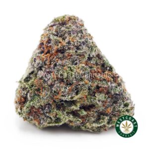 Buy Purple Kush AAA wc cannabis weed dispensary & online pot shop