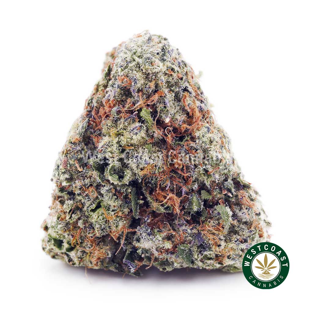 Buy Golden Goat AAAA wc cannabis weed dispensary & online pot shop Buy Golden Goat AAAA wc cannabis weed dispensary & online pot shop
