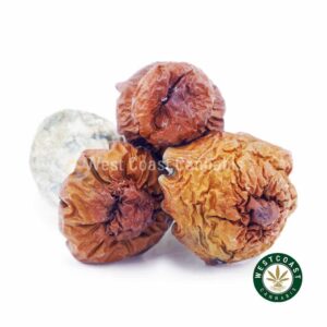 Shrooms – Bluey Vuitton product image