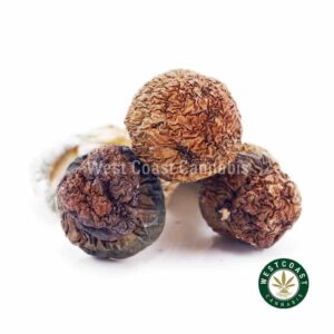 Shrooms – Penis Envy #6 product image
