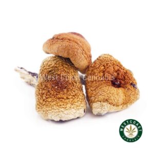 Shrooms – Amazonian product image