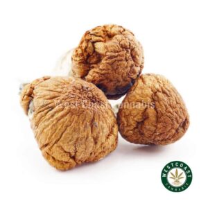 Shrooms – Jedi Mind Fuck product image