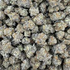 Apes in Space Exotic Quad smalls